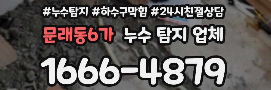문래동6가 누수 탐지 업체