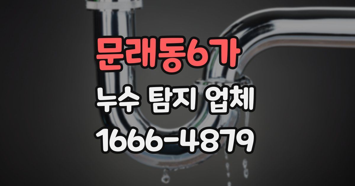 문래동6가 누수 탐지 업체
