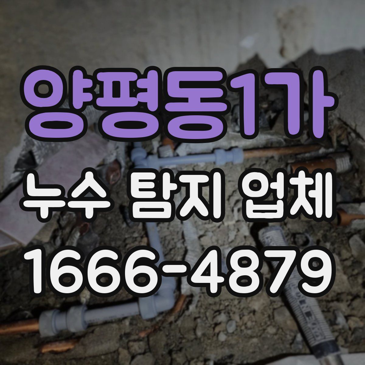 양평동1가 누수 탐지 업체