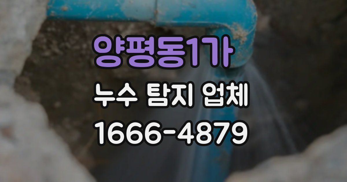 양평동1가 누수 탐지 업체