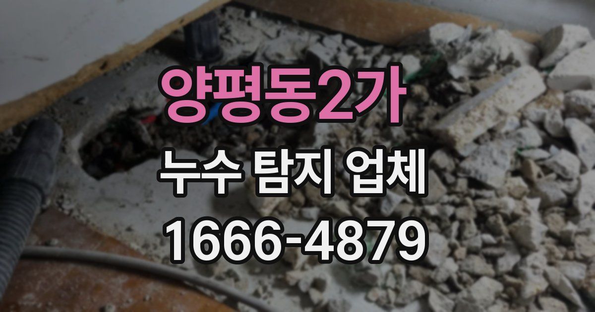 양평동2가 누수 탐지 업체