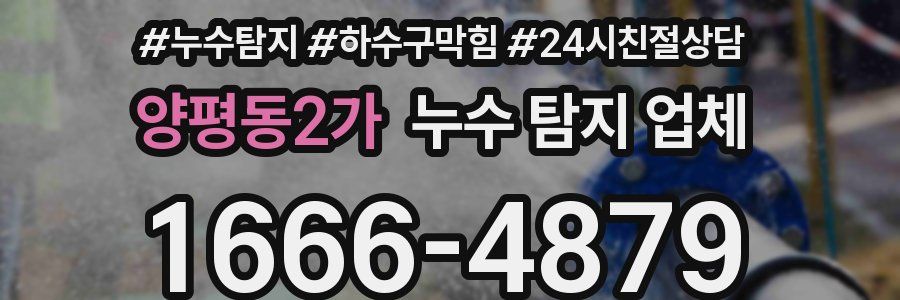 양평동2가 누수 탐지 업체