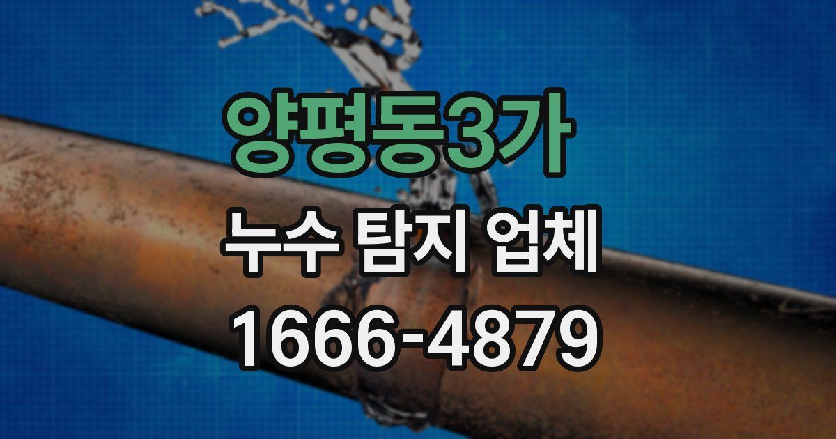 양평동3가 누수 탐지 업체