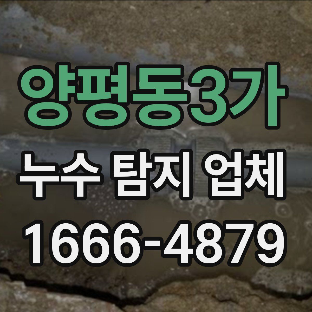 양평동3가 누수 탐지 업체