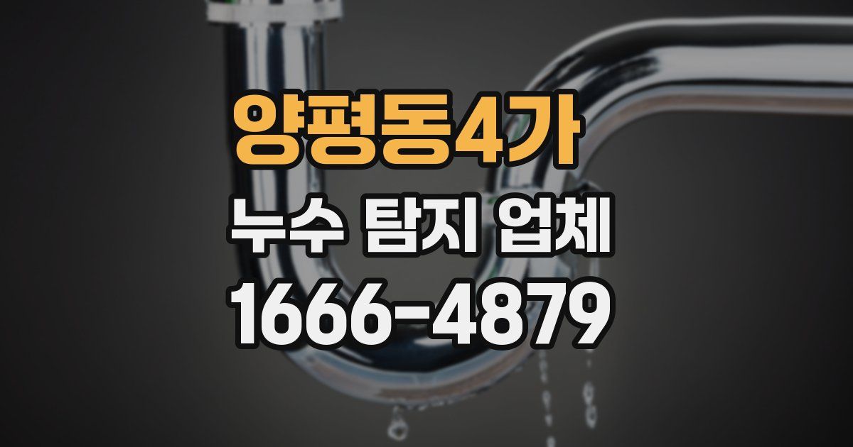 양평동4가 누수 탐지 업체