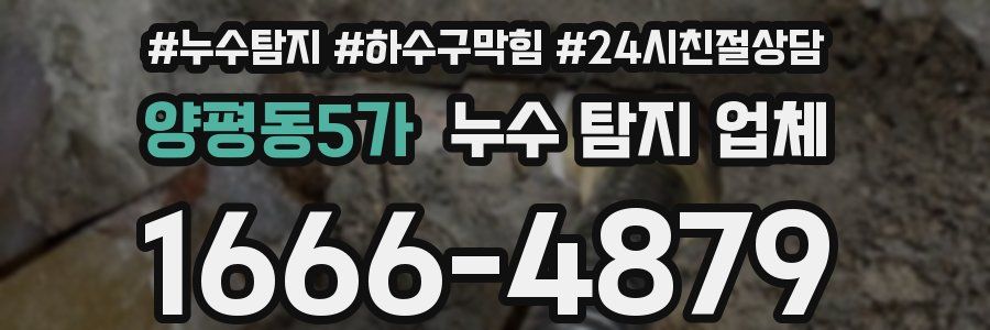양평동5가 누수 탐지 업체