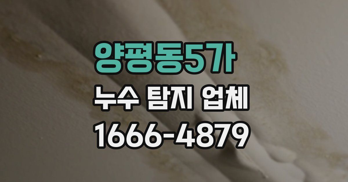 양평동5가 누수 탐지 업체