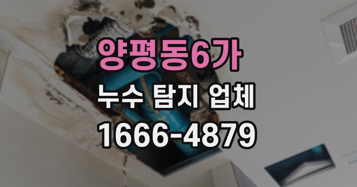 양평동6가 누수 탐지 업체