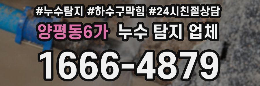 양평동6가 누수 탐지 업체