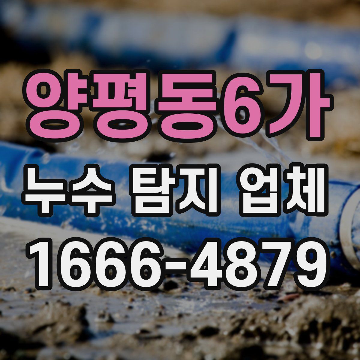 양평동6가 누수 탐지 업체