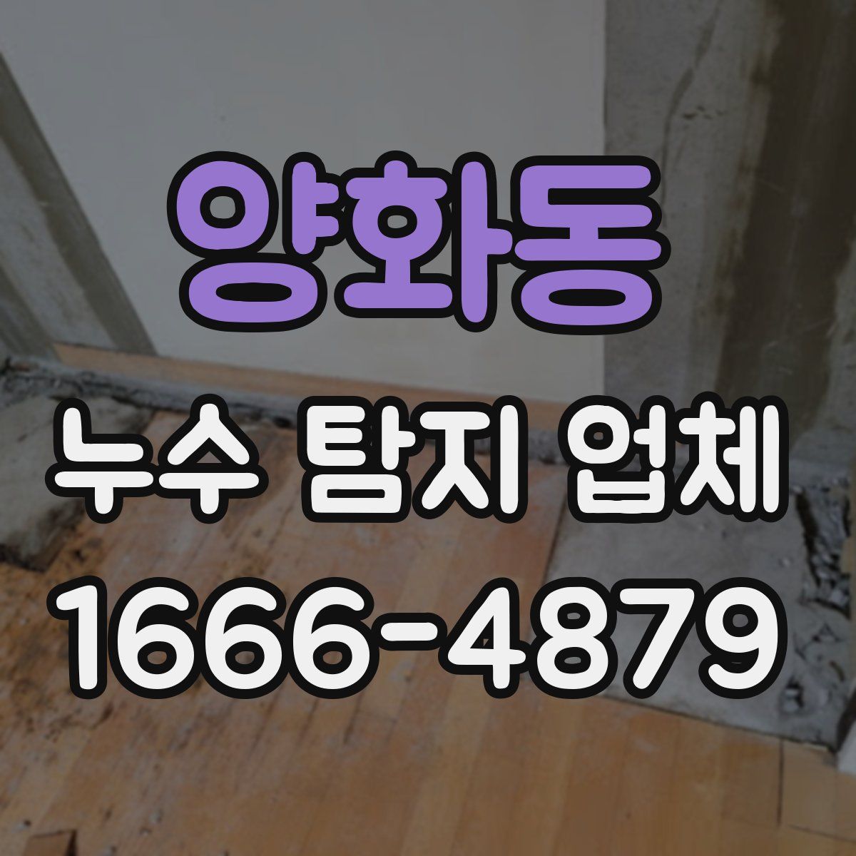 양화동 누수 탐지 업체