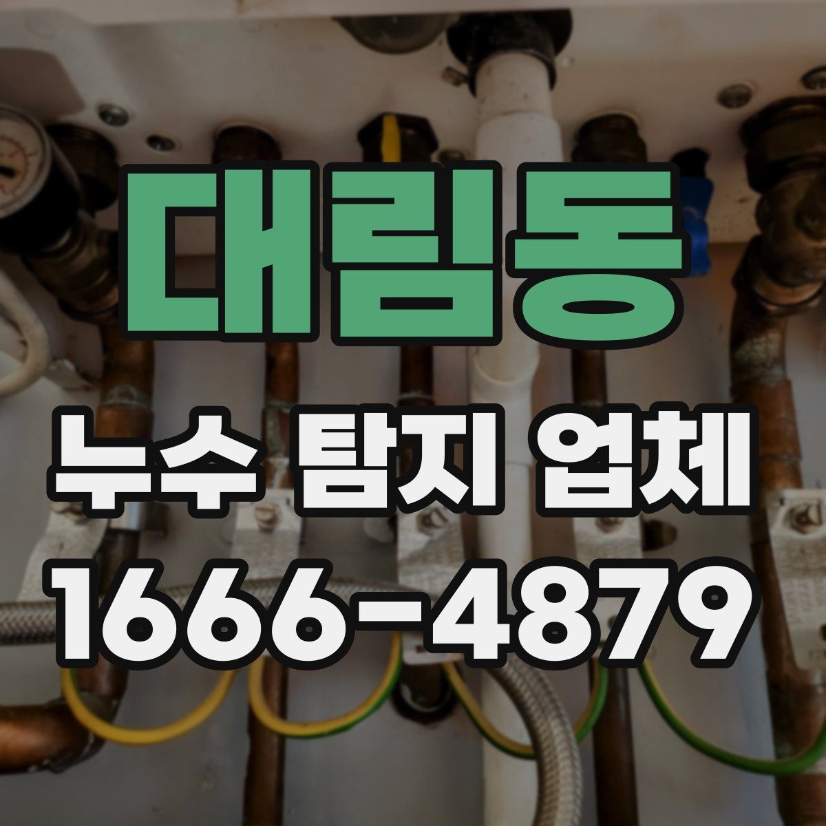 대림동 누수 탐지 업체