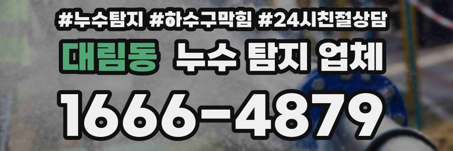 대림동 누수 탐지 업체