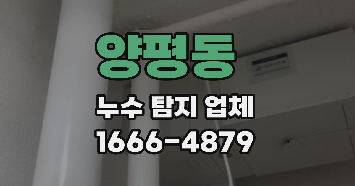 양평동 누수 탐지 업체
