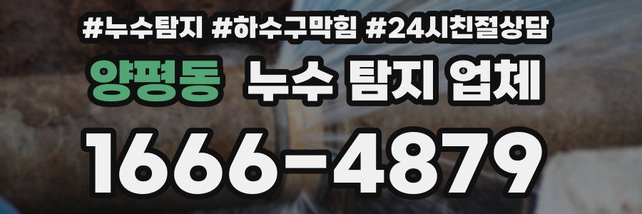 양평동 누수 탐지 업체
