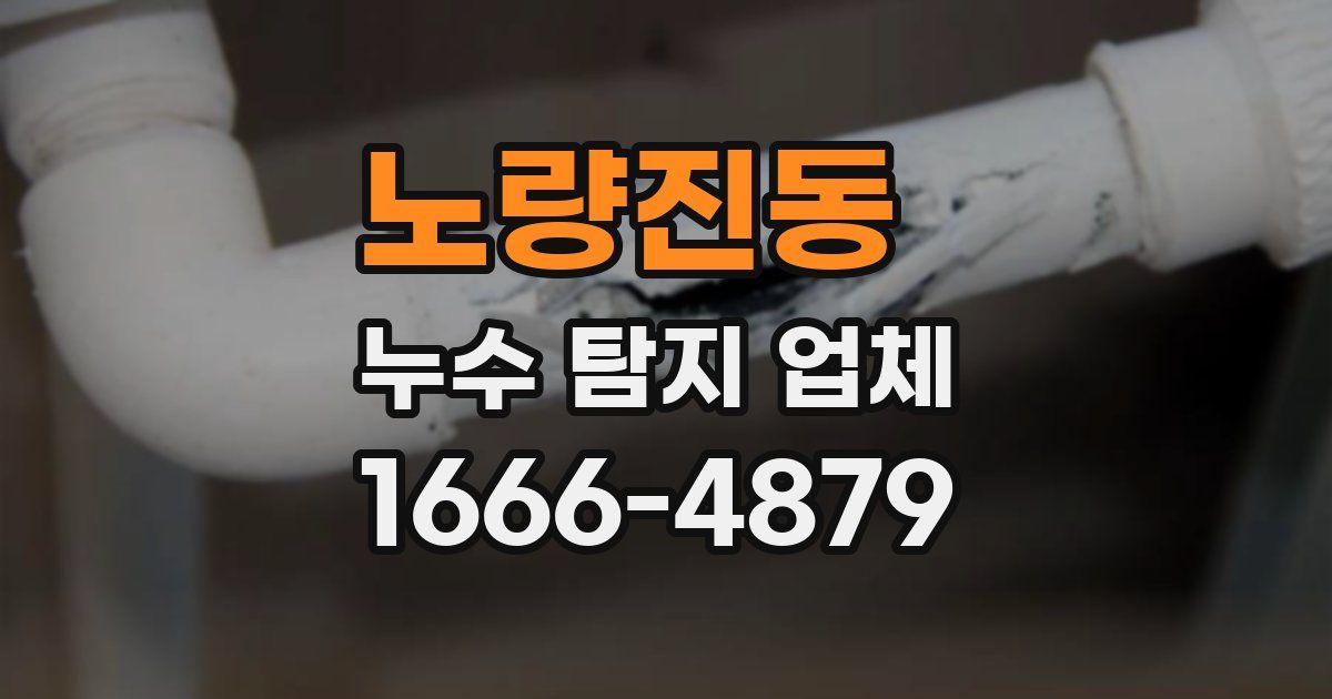 노량진동 누수 탐지 업체