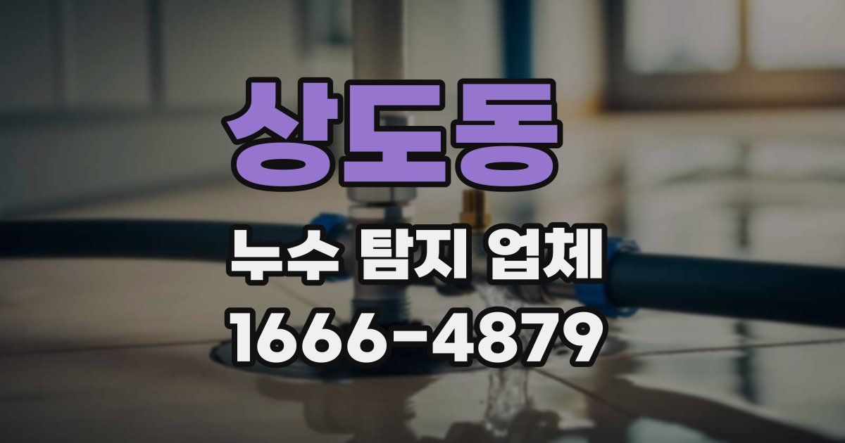 상도동 누수 탐지 업체