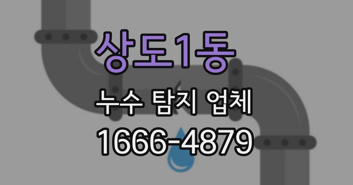 상도1동 누수 탐지 업체
