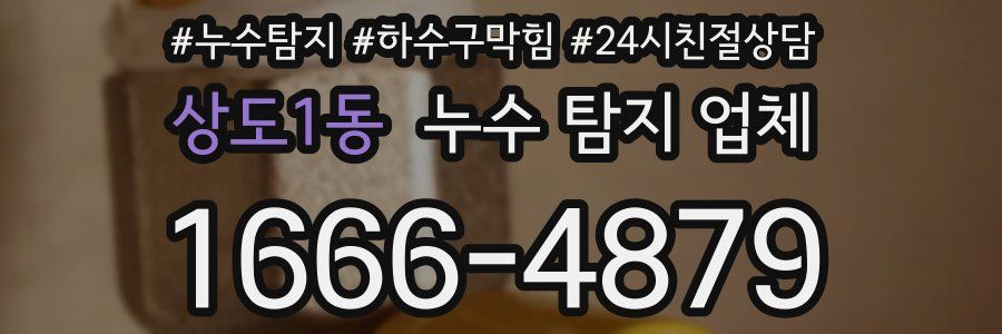 상도1동 누수 탐지 업체