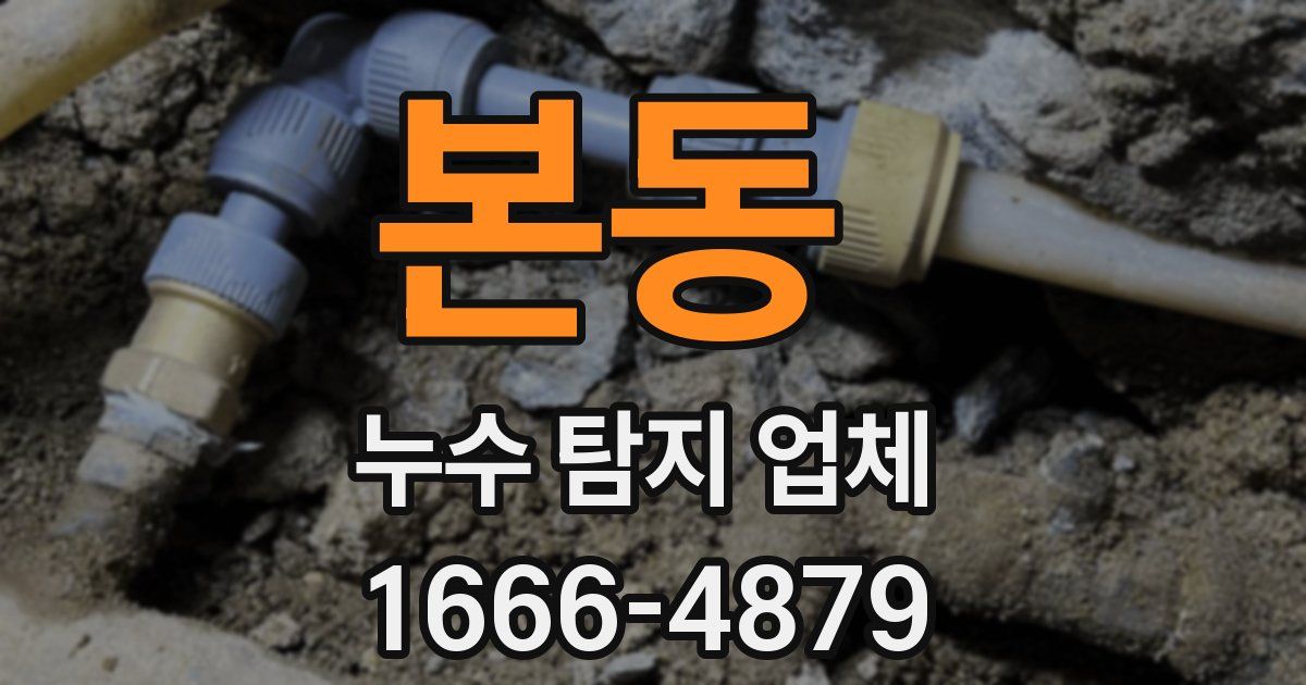 본동 누수 탐지 업체