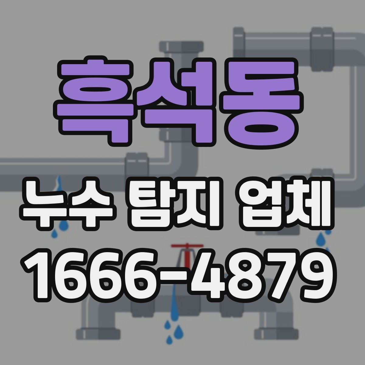 흑석동 누수 탐지 업체