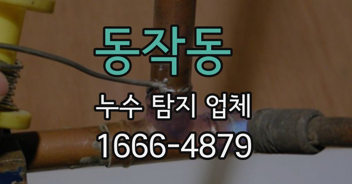 동작동 누수 탐지 업체