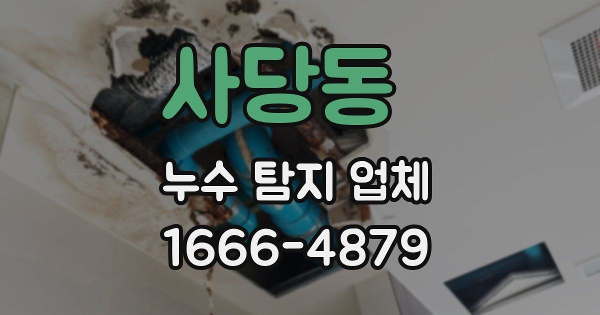 사당동 누수 탐지 업체