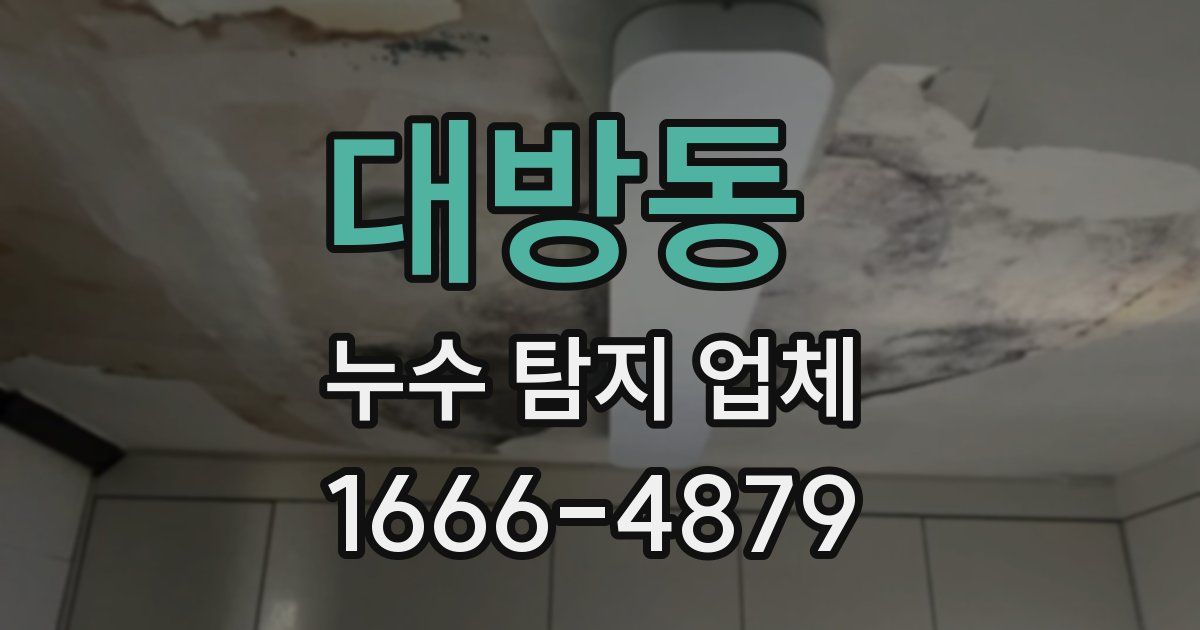 대방동 누수 탐지 업체