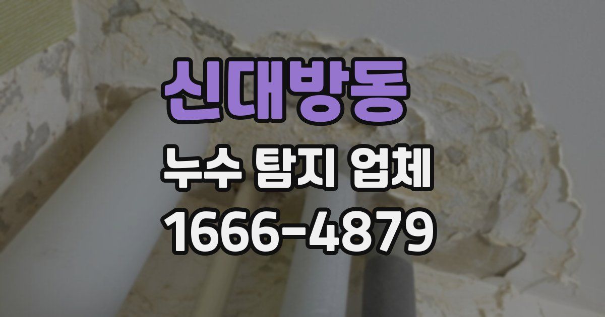 신대방동 누수 탐지 업체