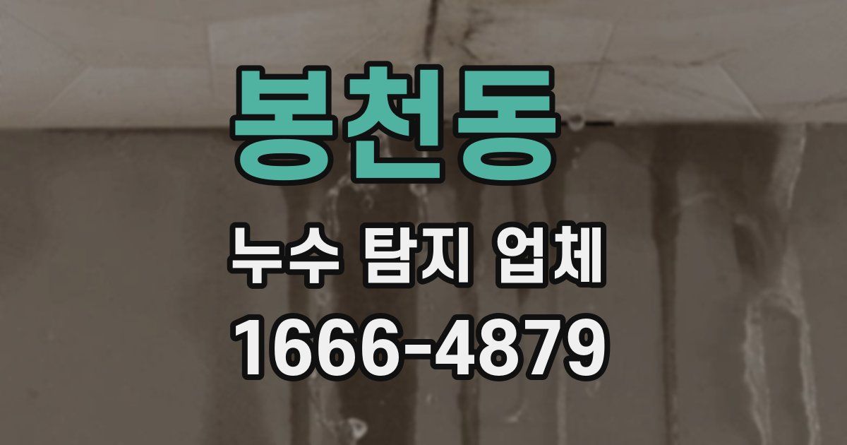 봉천동 누수 탐지 업체