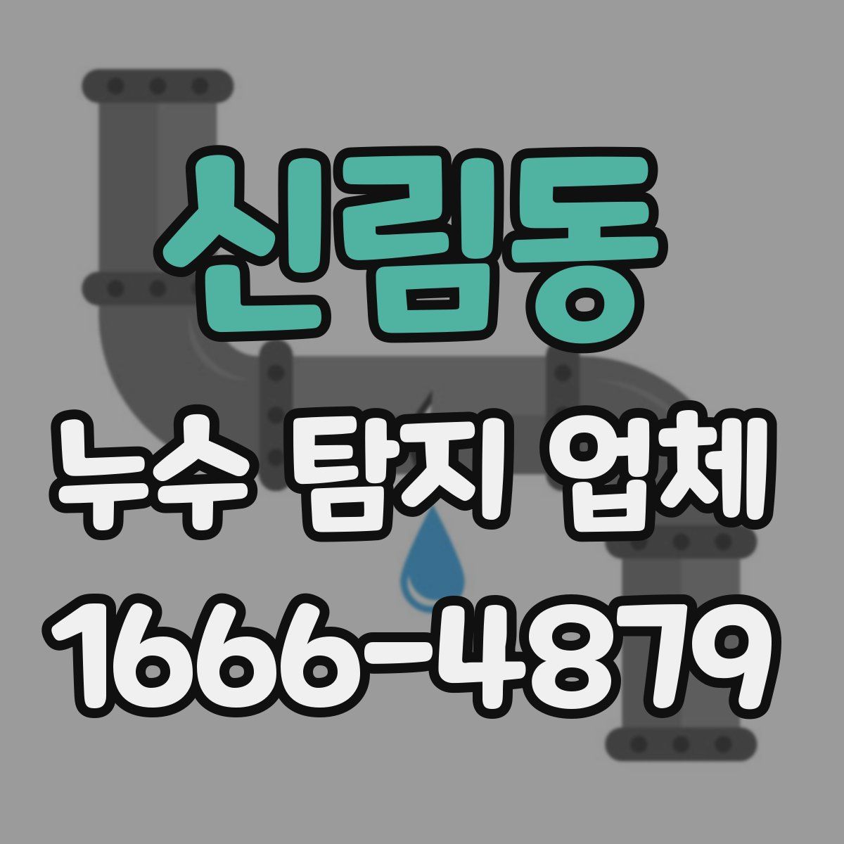 신림동 누수 탐지 업체