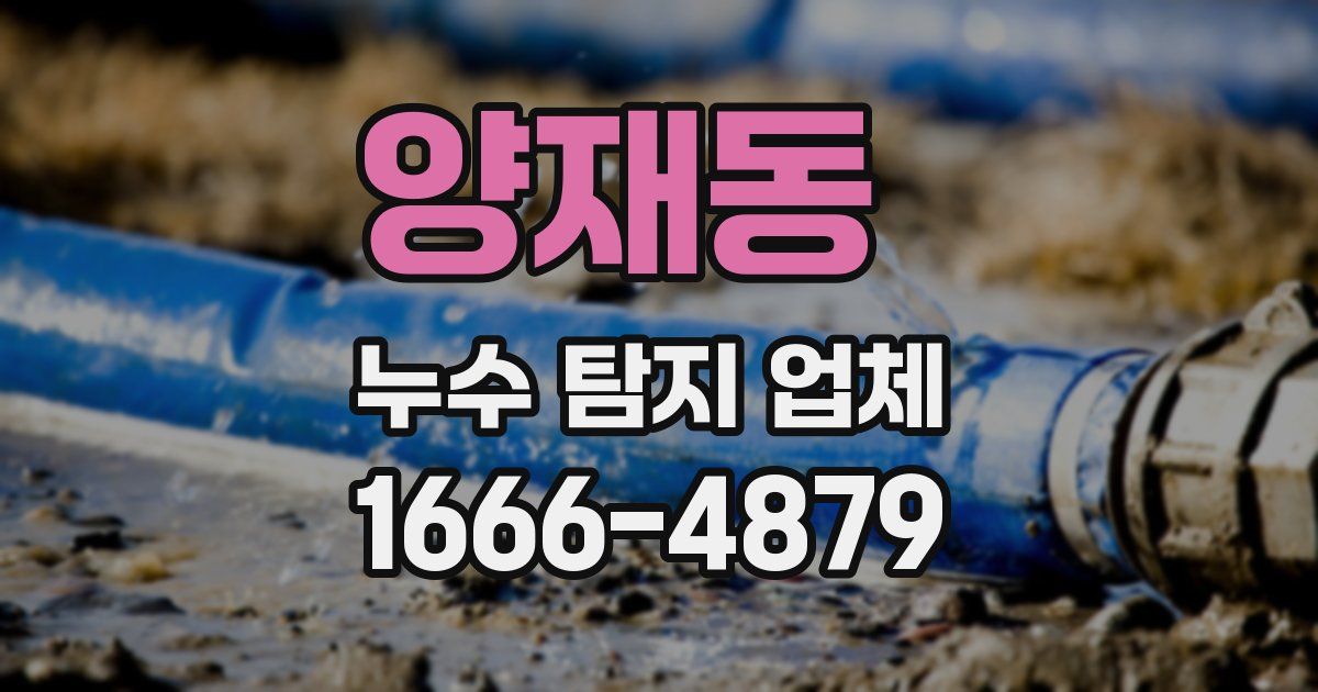 양재동 누수 탐지 업체
