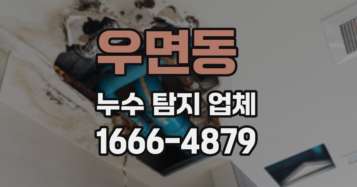 우면동 누수 탐지 업체