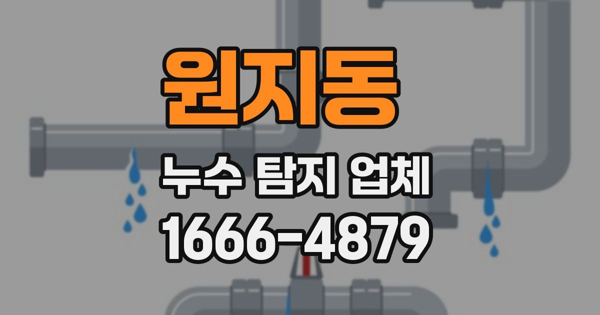 원지동 누수 탐지 업체