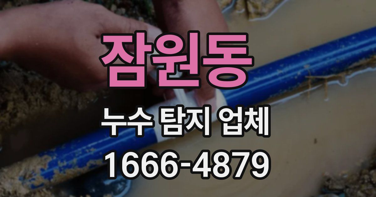 잠원동 누수 탐지 업체