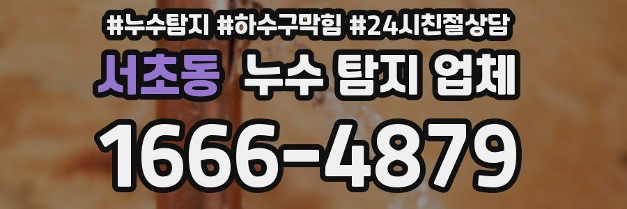 서초동 누수 탐지 업체