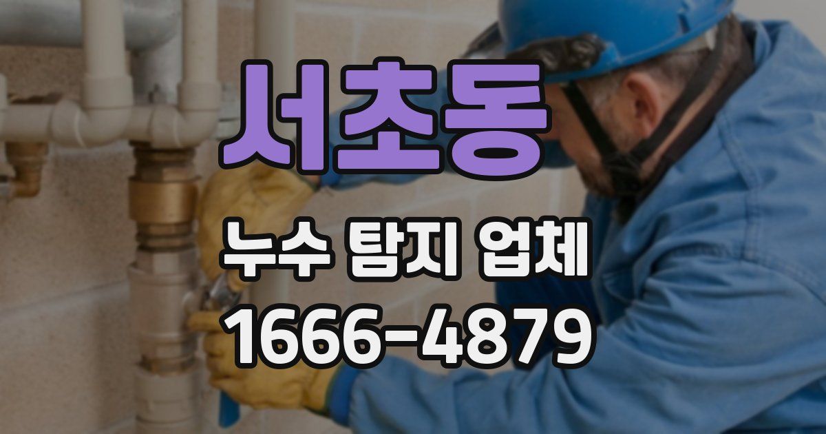 서초동 누수 탐지 업체