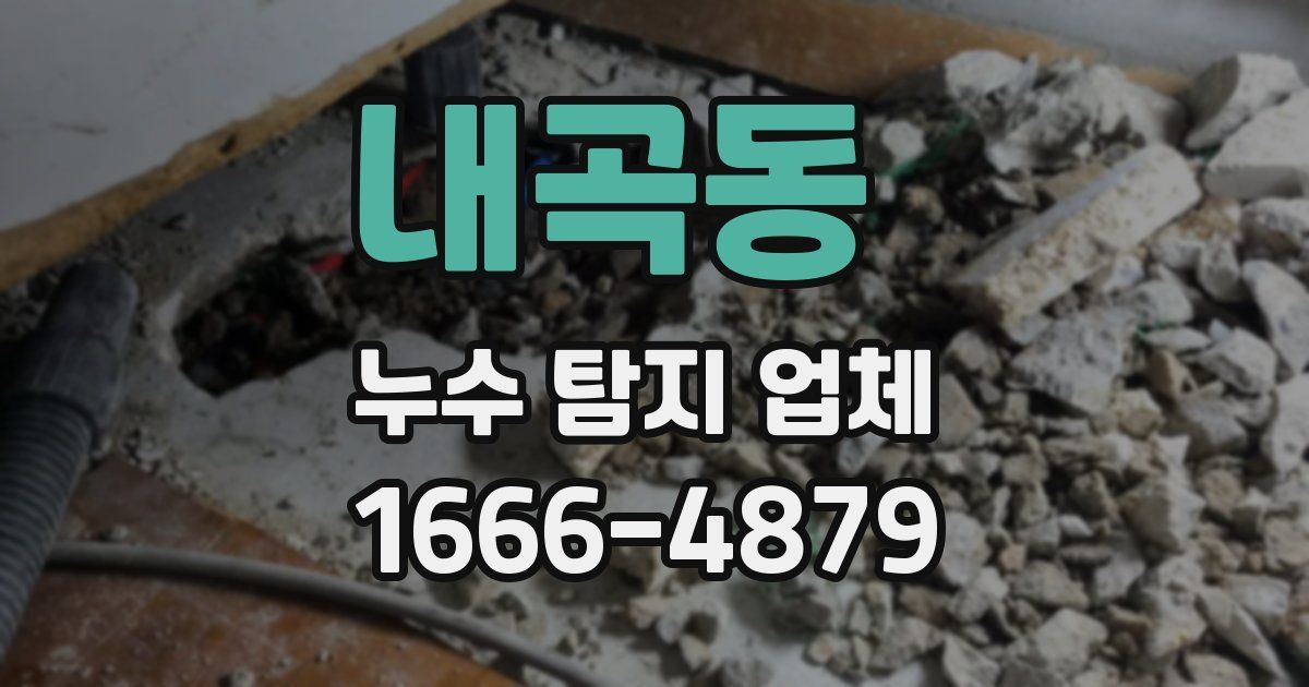 내곡동 누수 탐지 업체