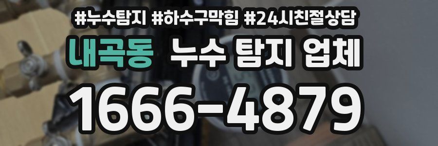 내곡동 누수 탐지 업체