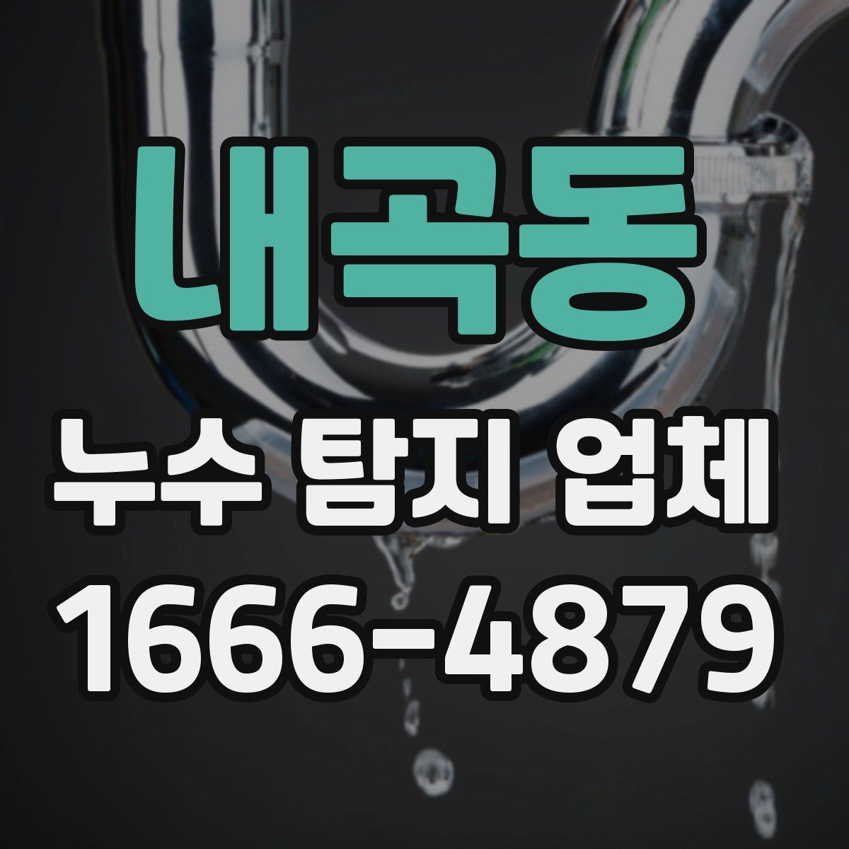 내곡동 누수 탐지 업체