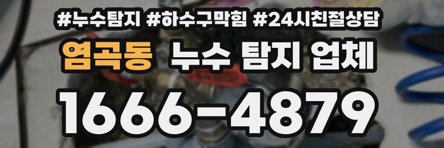 염곡동 누수 탐지 업체