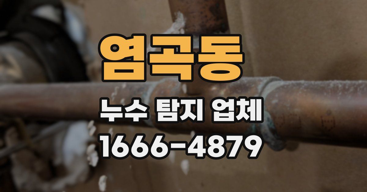 염곡동 누수 탐지 업체