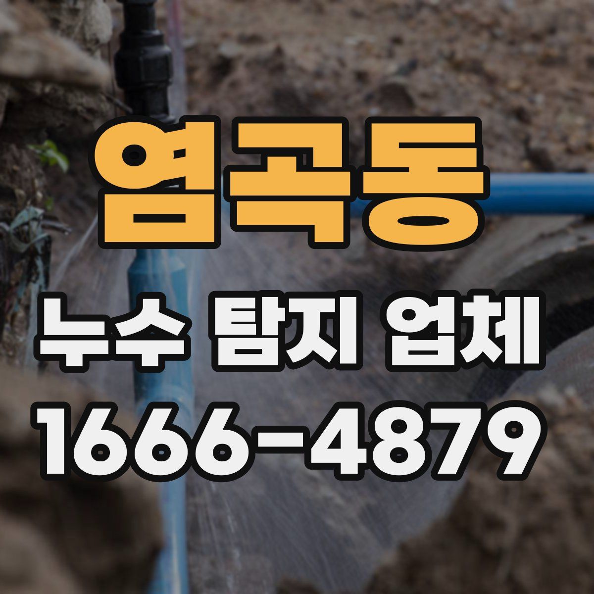 염곡동 누수 탐지 업체
