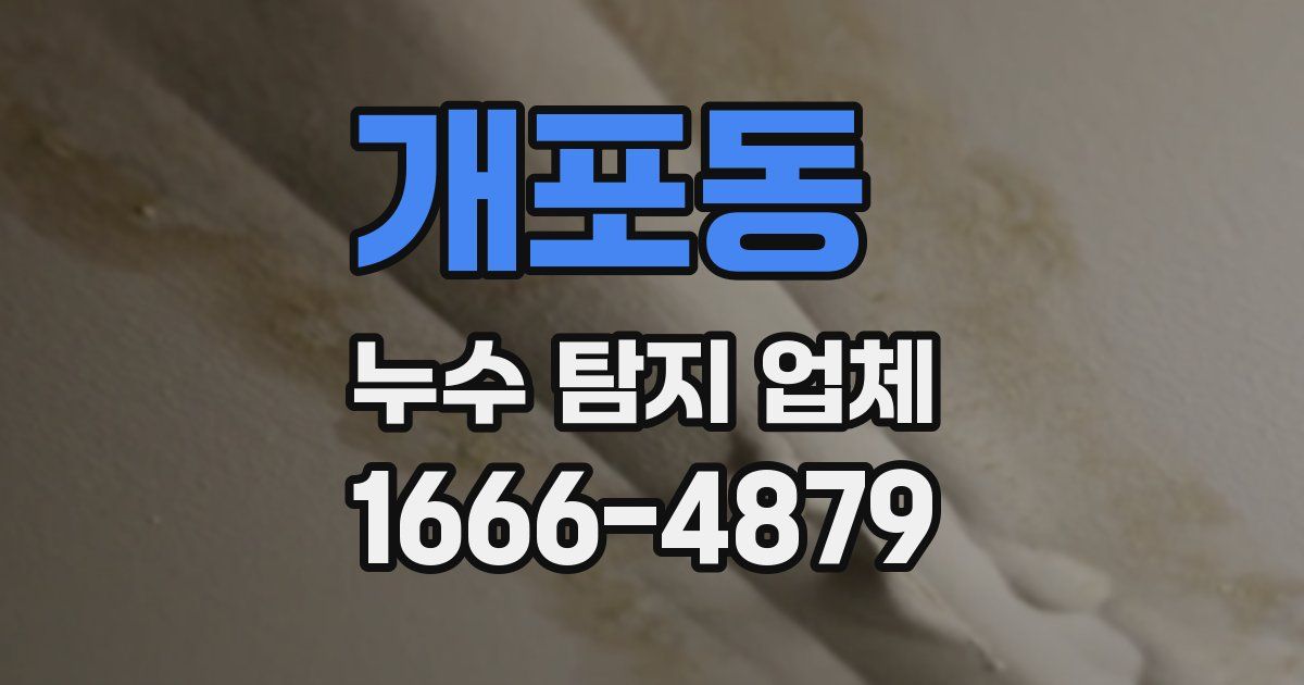 개포동 누수 탐지 업체