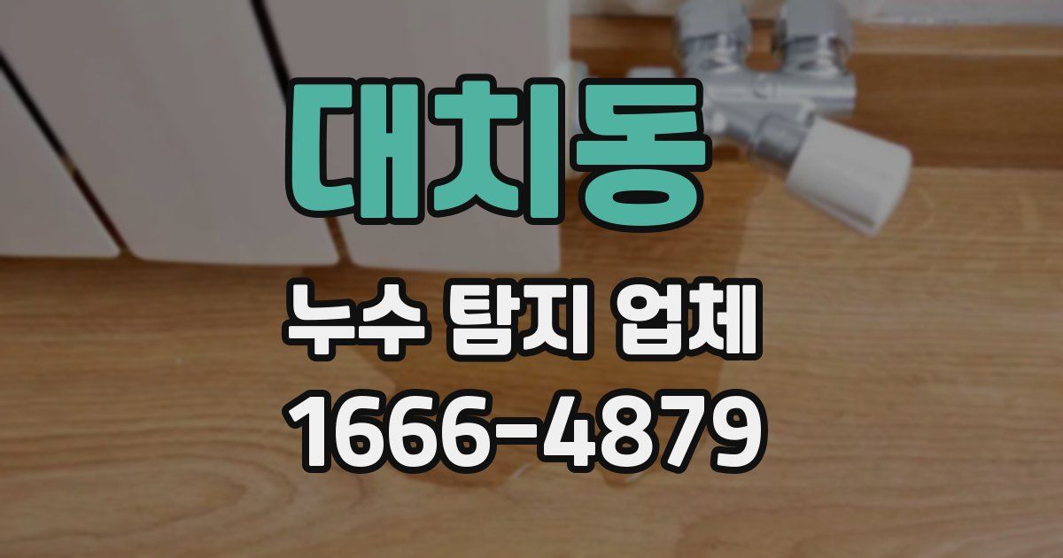 대치동 누수 탐지 업체