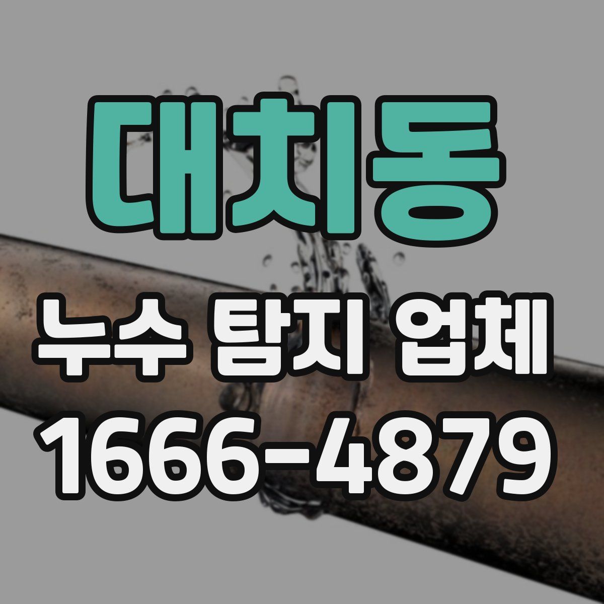 대치동 누수 탐지 업체