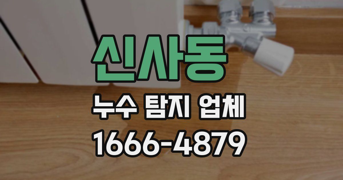 신사동 누수 탐지 업체