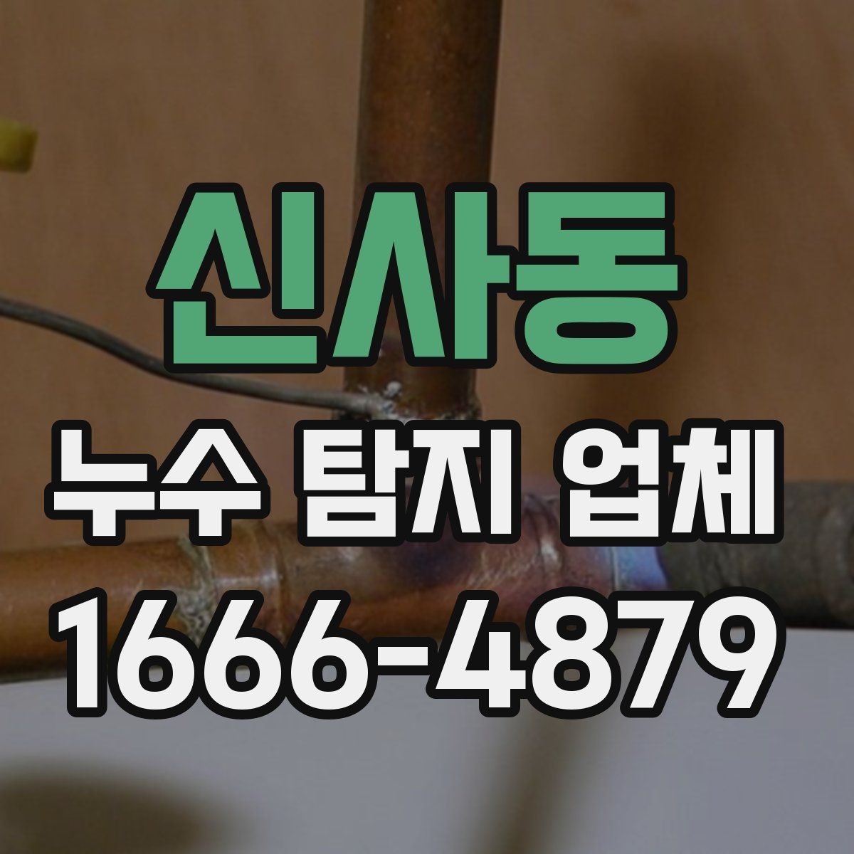신사동 누수 탐지 업체