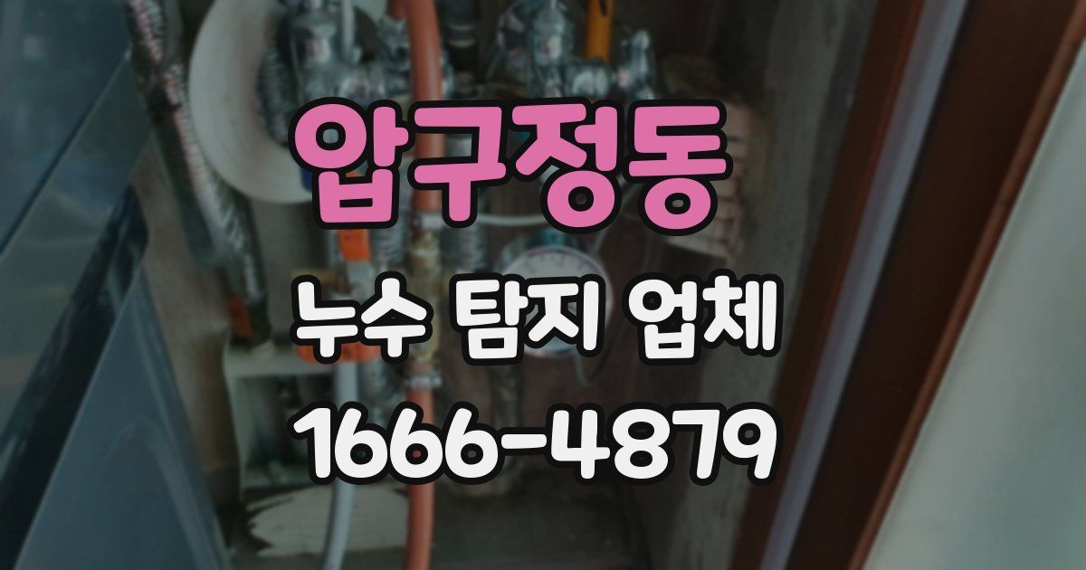 압구정동 누수 탐지 업체