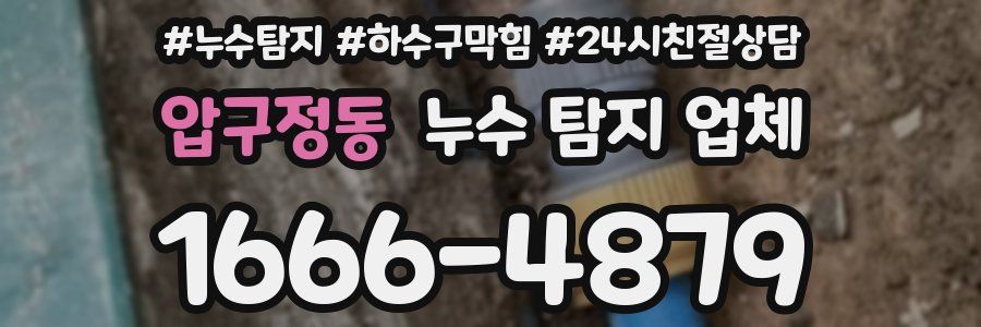 압구정동 누수 탐지 업체